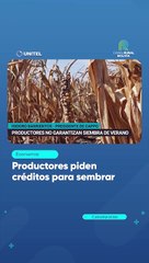 Productores piden créditos para sembrar
