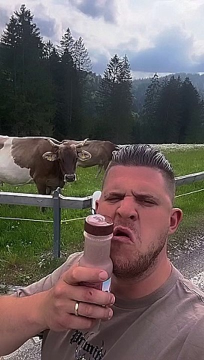 What the cow thinking #fast #drink #fun