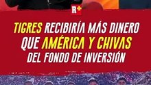¡LOS NUEVOS GRANDES! RAYADOS Y TIGRES, LOS MEJOR VALUADOS EN EL FONDO DE INVERSIÓN