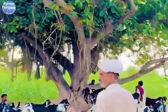 Pind dehat gaon village Kia ha purani yadain old punjab culture