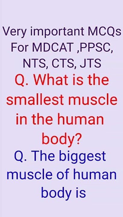 The smallest muscle and biggest muscle of the human body