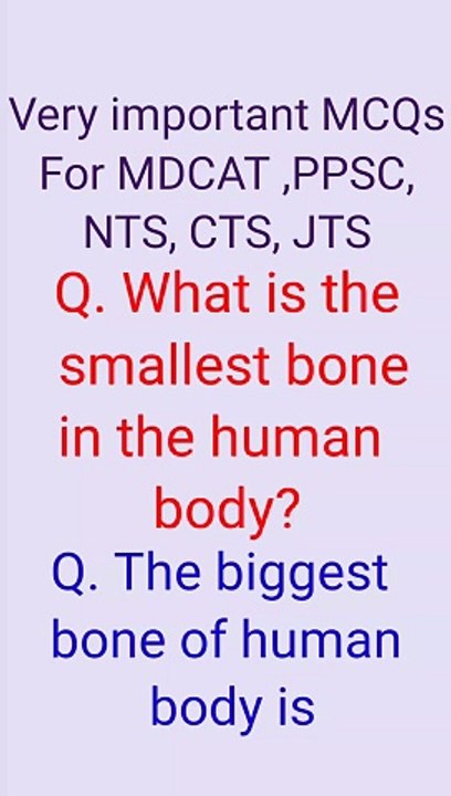 The smallest bone and biggest bone of the human body