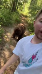 Spot The Fake Animal For 10_000$$$$