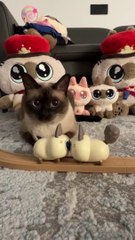 :They made eyes, and I was embarrassed