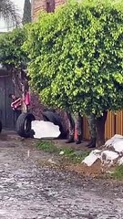 Un hombre intentó resguardarse en una panadería, ubicada en la colonia Artesanos de Tlaquepaque