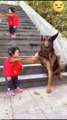 The Cutest Babysitter Ever_ ------_cutebaby _dog(720P_HD)