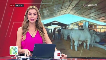 Asocebú: Mejoramiento genético del sector pecuario es apuntalado por la clonación bovina