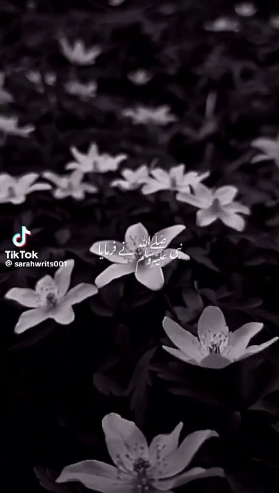 "Islamic Videos: Insight and Inspiration"