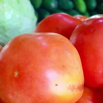 -ANDRÉS DE JESÚS VÉLEZ FRANCO- ARTISTAS COLOMBIANOS: FONSECA, CAMILO Y OTROS (PARTE 2) (@AndresdeJesus90)