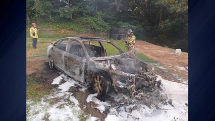 태안 산 중턱에서 차량 화재...60대 1명 숨져 / YTN