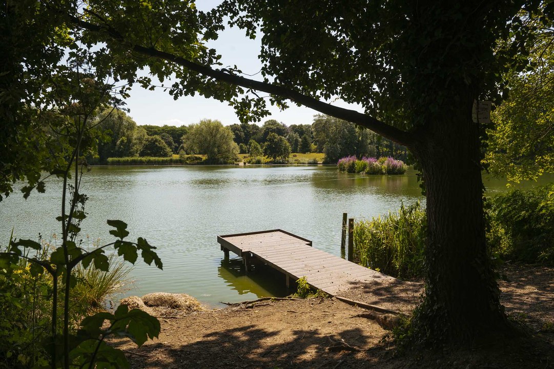 Apley Woods in Telford has been closed to the public due to Blue Green Algae