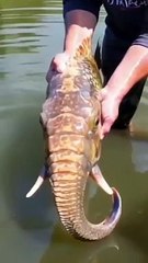 #islamicvideo_#islamicshorts(360p)