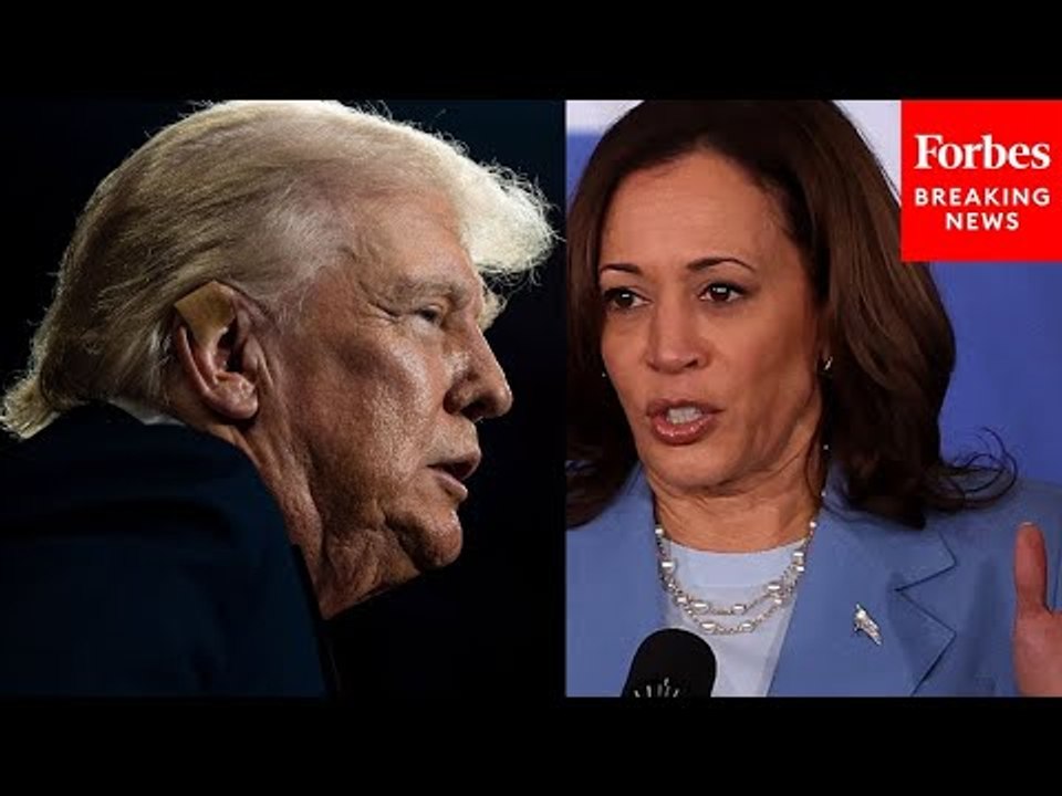 These Are The Top Three Issues Voters Care About—And They Haven't Changed Since Biden Dropped Out