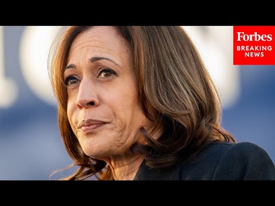 These Are Kamala Harris' 'Three Fundamental Problems' As Her Campaign Kicks Off: Political Scientist
