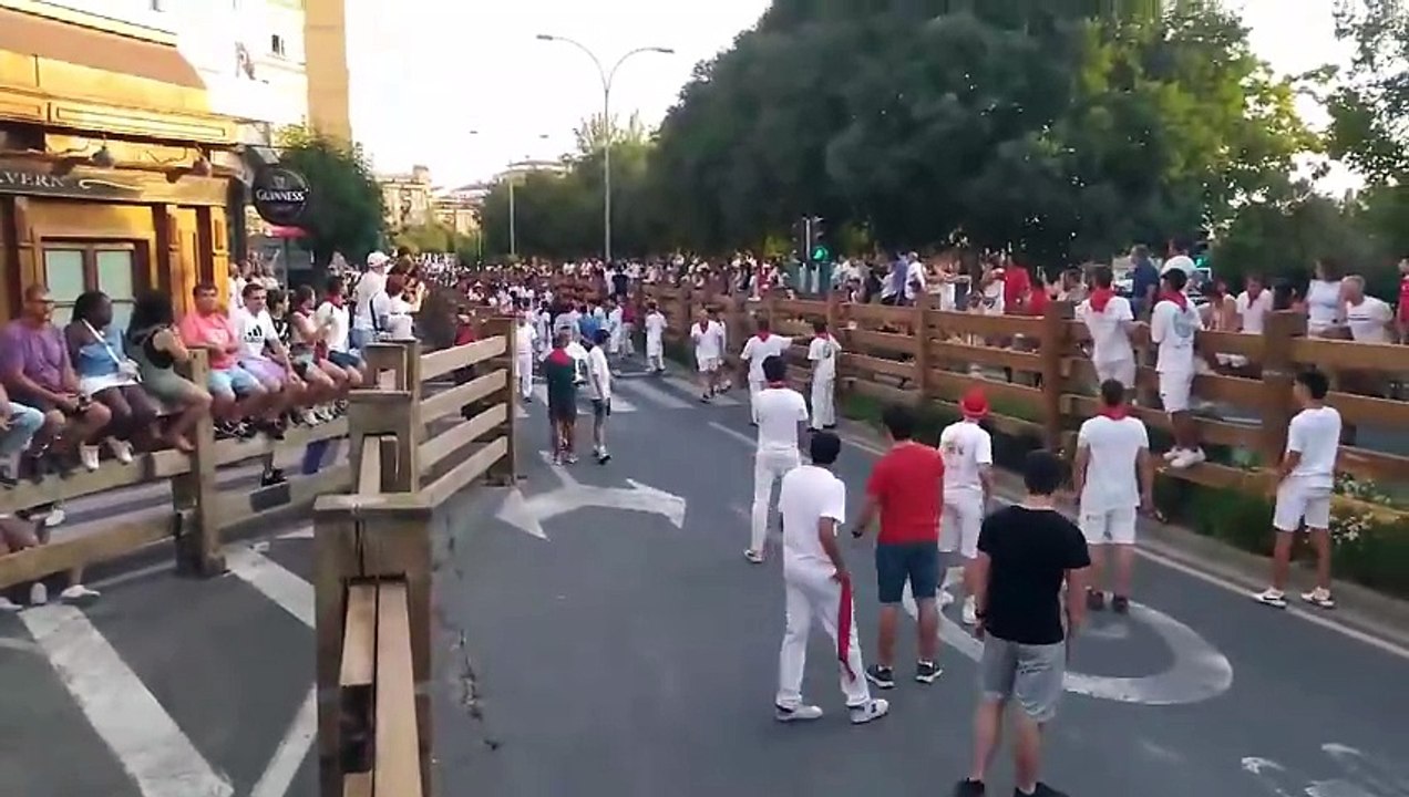 Un toro queda suelto en la curva de la plaza en el tercer encierro de las fiestas de Tudela de 2024