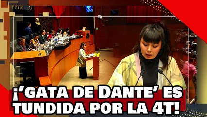 ¡VE! ¡’gata de Dante’ es humillada por valiente diputado del Verde por atacar la mayoría de la 4T!