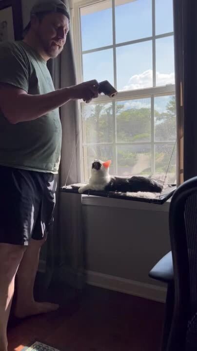 Man Checks Temperature of His Cat Sitting by Window in Sunlight