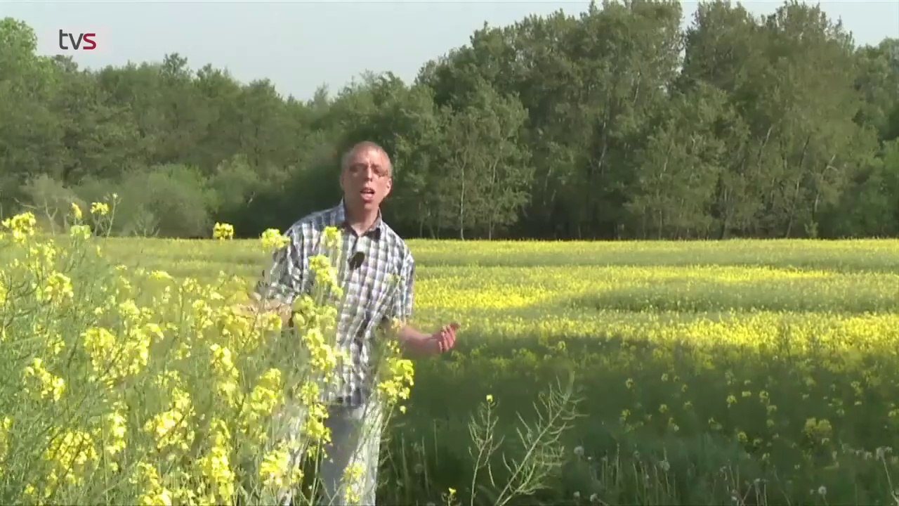 Poul på landet | 2:10 | Sendt i 2014 på TV SYD