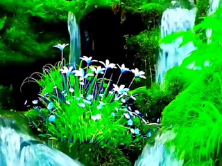 Green green grass #beaitiful #water #rain# naturalbeauty933 #nautral #beauty #beautynatural