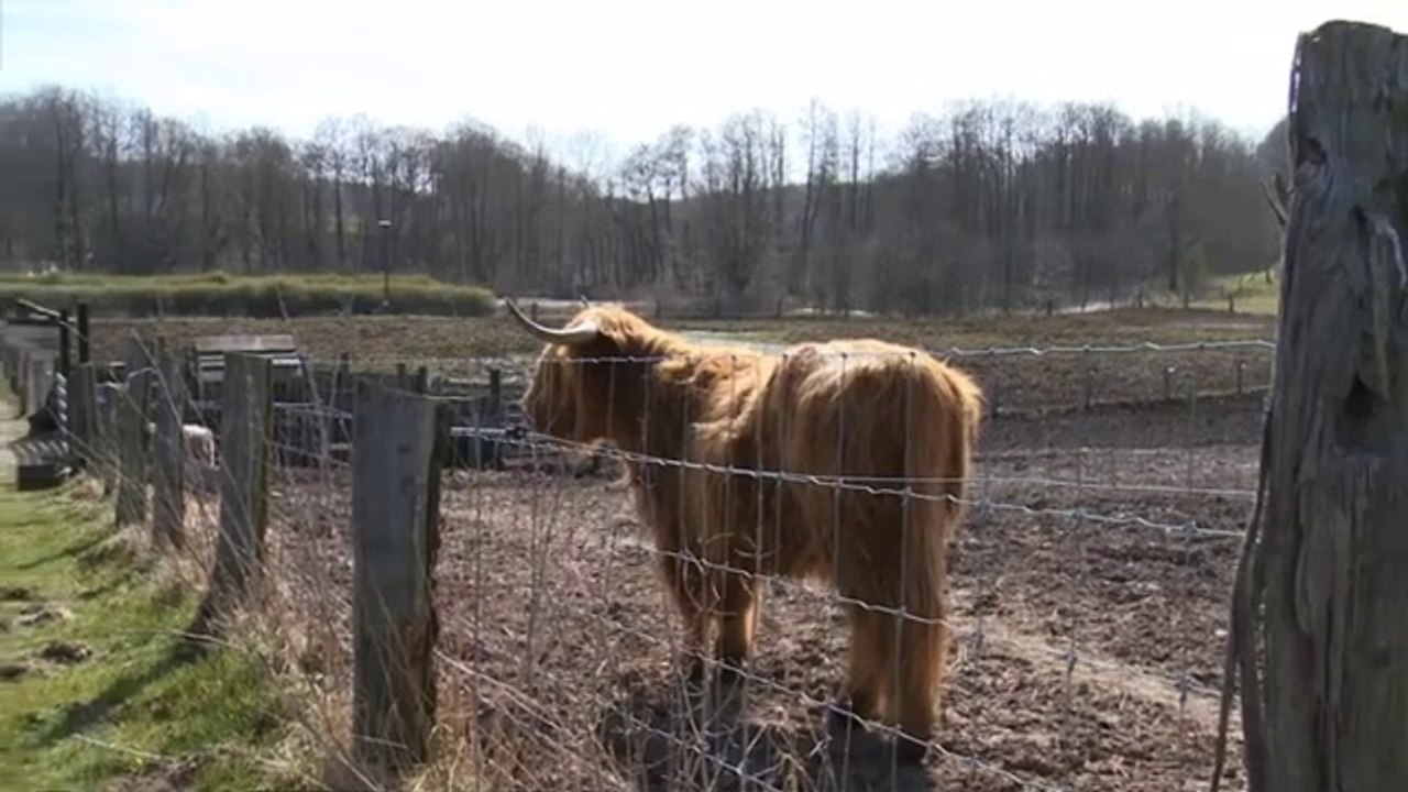 Poul på landet | 7:10 | Sendt i 2015 på TV SYD