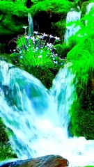 Stones for water down coming #beauty #beautiful#naturalbeauty933 #water #stones #grass#greengreen