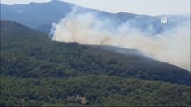 Muğla'nın Milas ilçesinde orman yangını