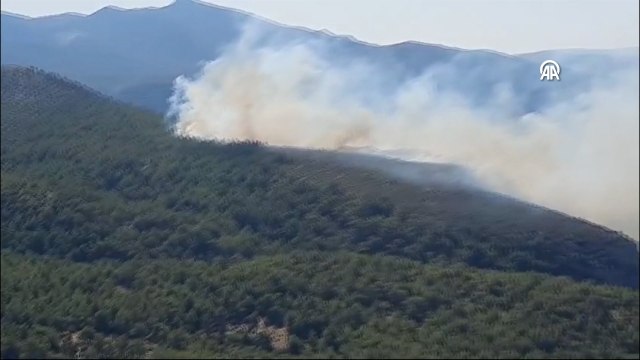 Muğla'nın Milas ilçesinde orman yangını