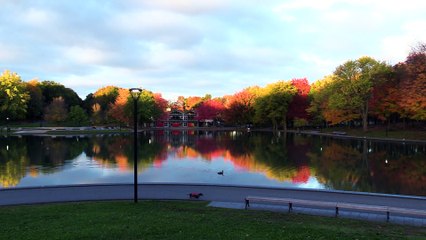 "Stunning Nature: Colorful Trees and Serene Water Lake | Relaxing Scenery"