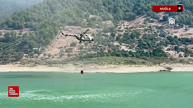 Muğla'nın Milas ilçesinde orman yangını çıktı