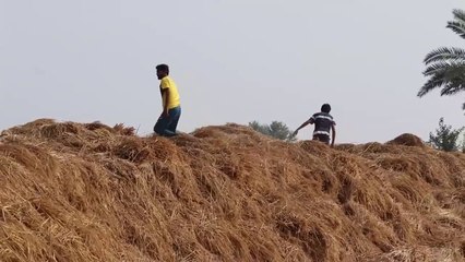 BEST OF Fails BUSHMAN Prank Compilation 2022 - Fainted Reaction Real Funniest Video