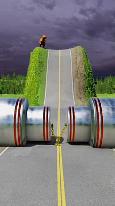THE CAR CRUCH