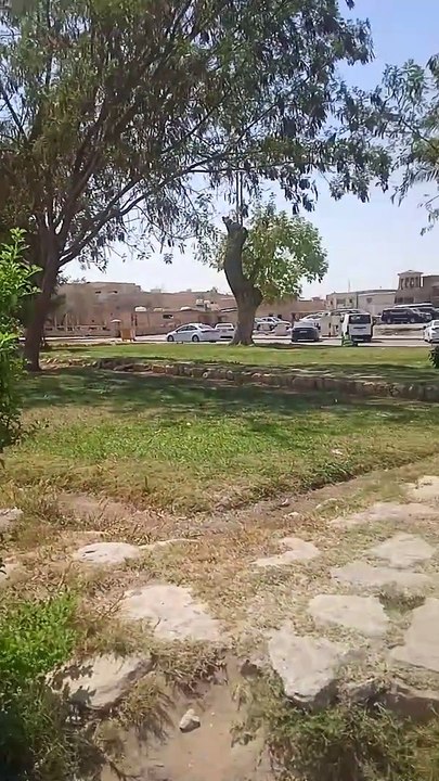 VID_20240727_093955