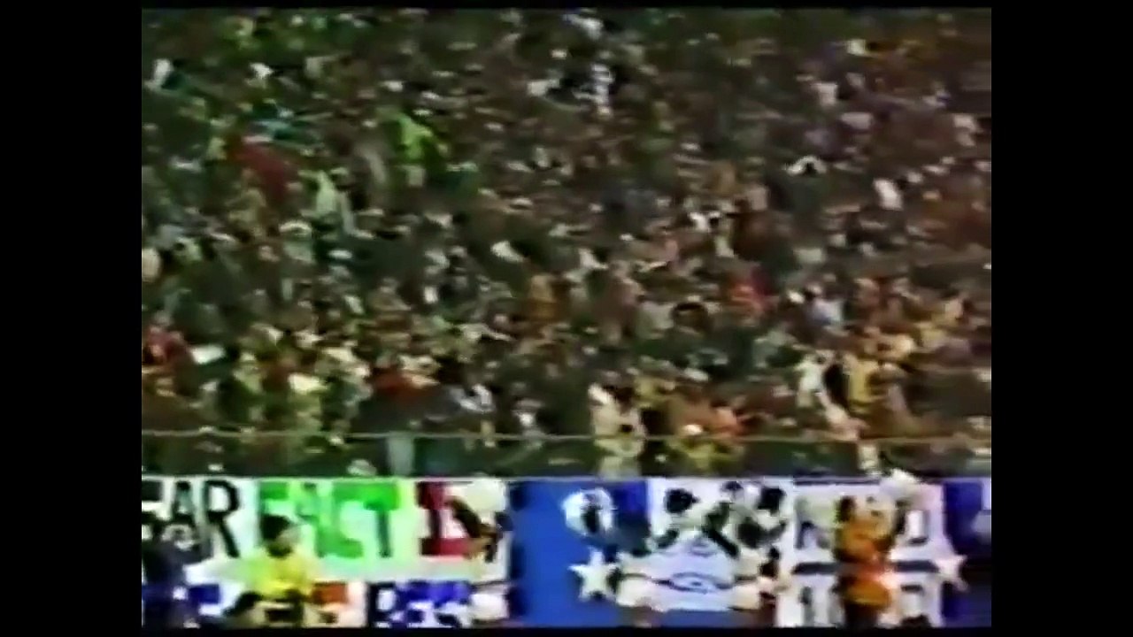 NFC Divisional Playoff 1977 - Chicago Bears vs Dallas Cowboys - Highlights