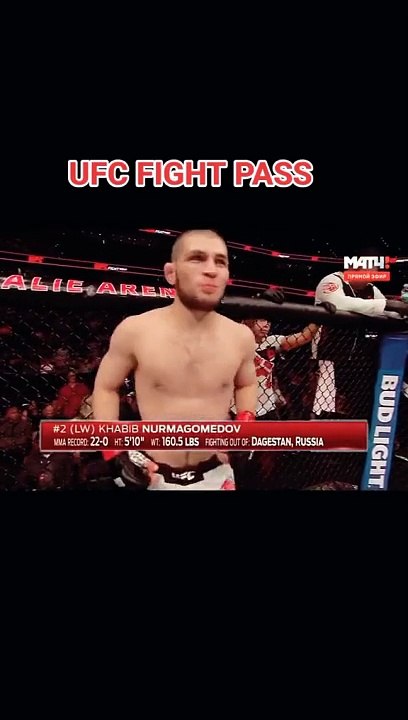 UFC fighter habib is king on dailymotion video#love .#dailymotion #video #youtube#film #funny #Indian #movie #dailymotion #video #youtube #film