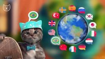 Play Fun Pet Kitten Care Kids Game  Little Kitten Preschool  Learning Games For Toddlers Preschool