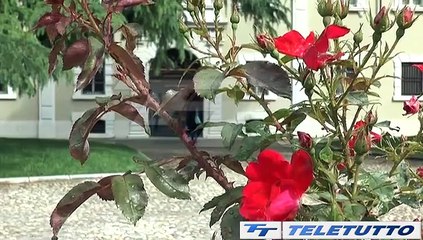 Video News - Agosto, musei gratis per i bresciani