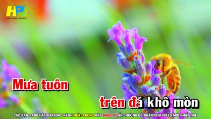 Karaoke Mùa Mưa Đi Qua Tone Nữ Nhạc Sống - Hoài Phong