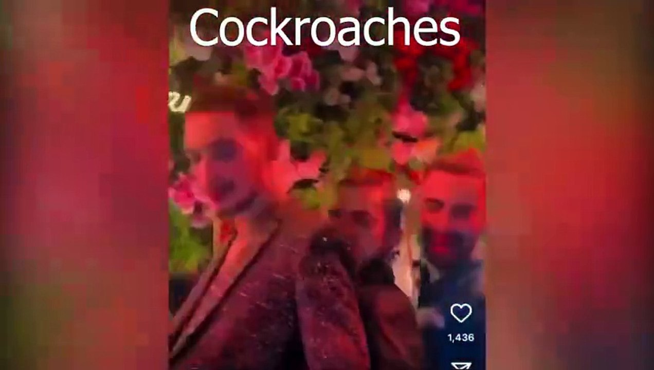 Alex Bhatti Is Back With Creatures !!!