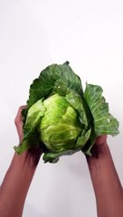 Chicken Cabbage Momos quick and easy recipe