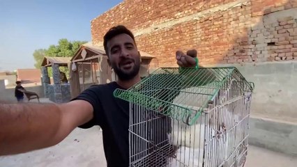 First Time Bht Sari New Fishes Le Kr Ae