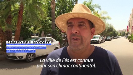 Pas de "refuge" contre la chaleur à Fès, au Maroc