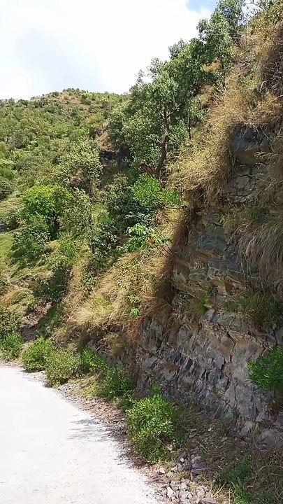 Hilly area