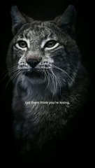 Daily Motivation Dose   #Motivation #Viral #Shorts