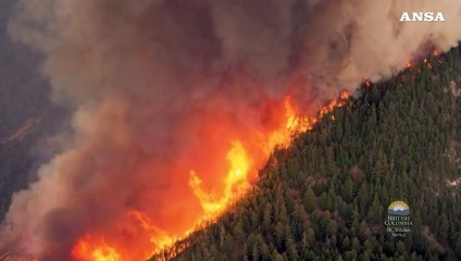 Vasto incendio in Canada, bruciano i boschi della British Columbia