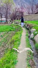 Chitral Pakistan ♥️