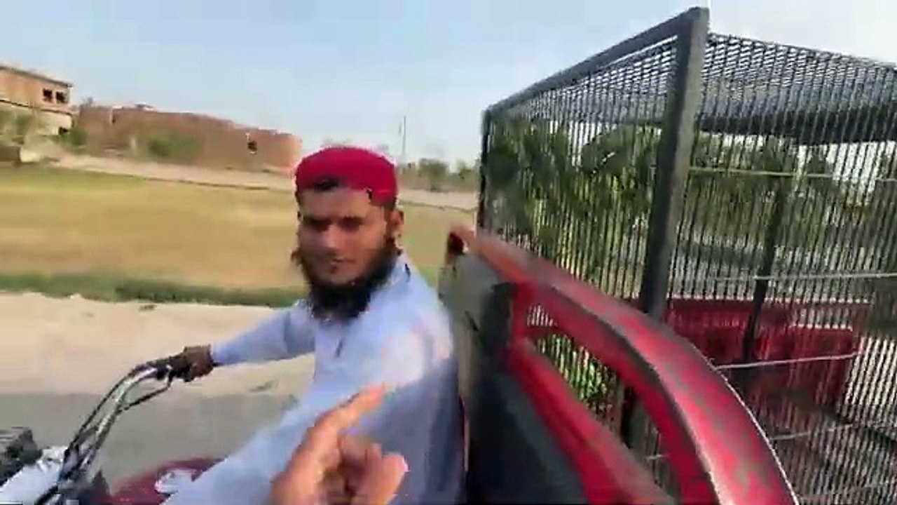 Aj Bht Sary Green Parrots Mini Zoo Main Le Aiy