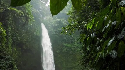 Relaxing Music for Stress Relief, Calm, Study _ Beautiful Nature & Water Sounds