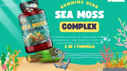 Discover the Best Sea Moss Supplement for Your Health Needs