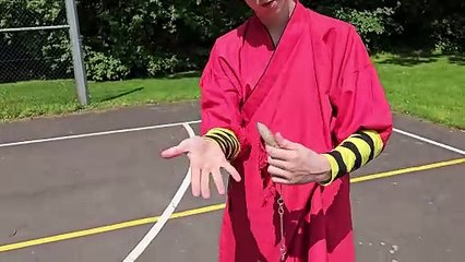 9 Section Whip Basic Exercise - He Yong Gan Martial Arts