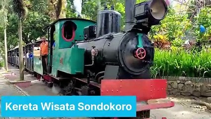 Dresin Kereta Wisata Sondokoro : Bentor di Atas Rel Tebu